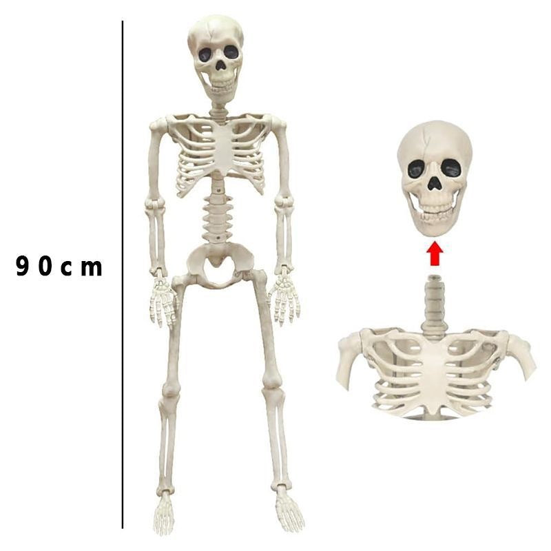 11765296